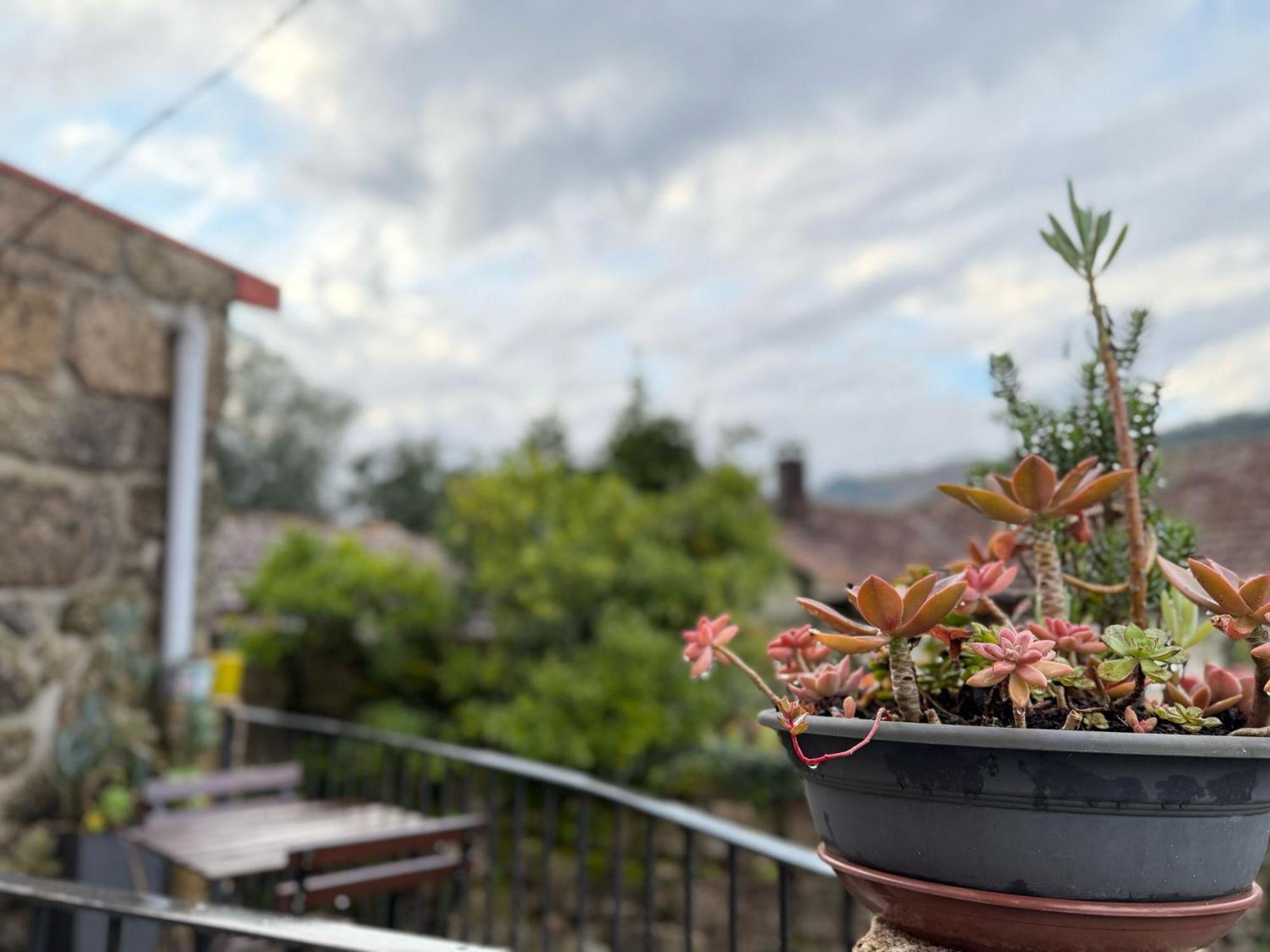 Casa Carlinhos Da Carreira Holiday home